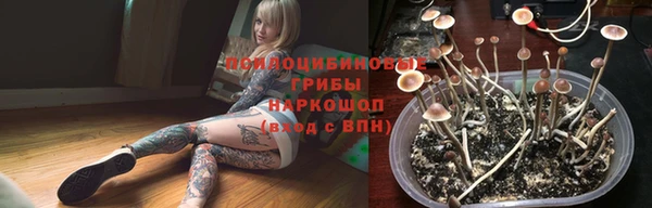 mdpv Костерёво
