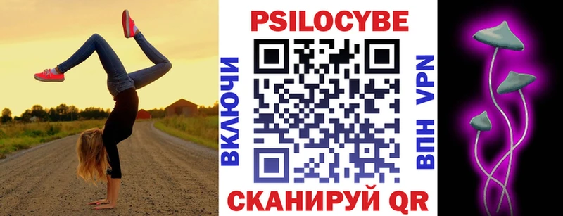 Псилоцибиновые грибы мухоморы  Купить  Андреаполь 