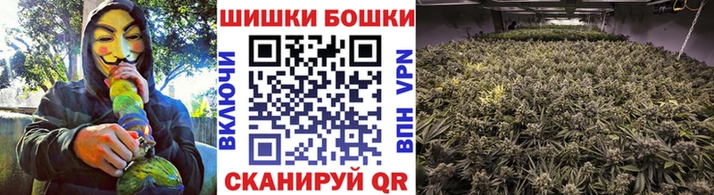Каннабис индика  Купить где  Андреаполь 
